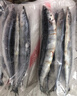 纯色本味 冷冻精品秋刀鱼净重2斤 烧烤食材 生鲜鱼类 实拍图
