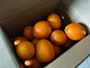 京觅 赣南脐橙 净重9斤单果200g+新鲜水果生鲜甜橙子应季源头直发 实拍图