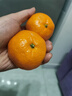 壹萌果蔬临海涌泉蜜桔【顺丰多地次日达】蜜桔橘子水果年货礼盒礼品 【金奖-甄选果】丨果径55-65MM【黄金甜】 5斤装【超值推荐-80%选择】净4.5斤 实拍图