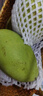 集南鲜 越南青玉芒果 芒果当季大青皮黄皮大芒果新鲜水果整箱 含箱10斤 单果250g起  净重9斤 实拍图