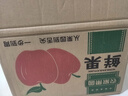 京鲜生 陕西洛川苹果红富士12粒 单果180-220g 生鲜水果 实拍图