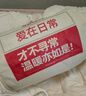 梦洁家纺 30%大豆春秋被抑菌面料双人四季保暖被子床上用品 150*200cm 实拍图