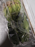大菠菜300g 实拍图
