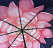 蕉下（beneunder）防紫外线遮阳伞三折双层黑胶晴雨伞防晒伞BM664花椿 实拍图