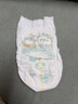 帮宝适超薄透气清新帮拉拉裤新生儿婴儿尿不湿尿片透氧Pro XL84 实拍图