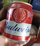 百威啤酒红罐淡色拉格330ml*24听整箱装浓郁麦香京东自营喜酒新年送礼 实拍图