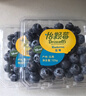 怡颗莓Driscoll's云南蓝莓14mm+ 4盒装 约125g/盒 新鲜年货水果 实拍图