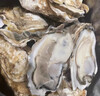 老蟹将 鲜活乳山生蚝 生态水域现捞牡蛎特大刺身级品质烧烤食材年货送礼 5XL 5斤(包活到家) 实拍图