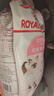 皇家幼猫猫粮 幼猫奶糕 K36 通用粮 4-12月 2KG 实拍图