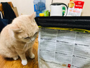 欧恩焙加拿大原装进口无谷低温烘焙配方英短渐层全阶段通用成猫幼猫粮 无谷鱼肉猫粮5磅/2.27kg 实拍图