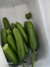 京鲜生 山东荷兰水果黄瓜 净4.5斤 单果70g+ 健康轻食早餐蔬菜 源头直发 实拍图