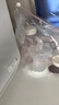 波咯咯（bololo）双边吸奶器电动无痛全自动吸乳微震通乳大吸力挤奶拔奶器 【新·智能旗舰】微震Z30吸奶器 实拍图