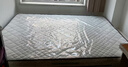 海马飞雪床垫席梦思天然椰棕乳胶独立弹簧床垫酒店厚薄双人家用榻榻米垫子 12cm厚舒适款(乳胶+独立弹簧) 1.5x2米 实拍图