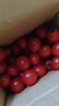 【超市品质】新鲜水果圣女果小番茄孕妇儿童即食零食生鲜水果 带箱 300g 红色圣女果 实拍图