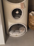 兽牌树洞剑麻桶猫窝猫抓板一体剑麻猫爬架双层大猫屋半封闭式冬季保暖 燕麦奶白丨47cm加大号 实拍图