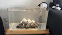 YEE超白鱼缸桌面客厅生态斗金鱼乌龟缸造景小型水草养鱼玻璃裸缸50cm 实拍图