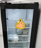 德玛仕食品留样柜 学校幼儿园公司食堂用水果蔬菜保鲜留样冰箱保鲜柜冷藏展示柜冰吧LG-60YL【双锁设计】 实拍图