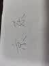 万派 床底收纳箱带轮扁平特大储物整理箱床下收纳神器被子衣服收纳盒 透明色双盖款【100*50*15】 实拍图