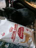 皇家成猫猫粮 营养均衡 F32 通用粮 1-7岁 2KG 实拍图