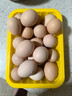 忆乡岭鸡蛋 散养谷物蛋 农家山林喂养 初生鲜土鸡蛋 30枚1200g 实拍图