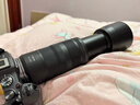佳能（Canon）RF100-400mm F5.6-8 IS USM 全画幅微单镜头 远摄变焦镜头 轻量防抖 超远长焦 实拍图