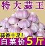 静益乐源山东紫皮蒜大蒜干大蒜蔬菜批发干蒜自种大蒜种子多瓣蒜当季蔬菜 精品大蒜【45mm中果】净重4.5斤 精选今年大蒜 实拍图