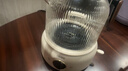 OIDIRE（偶点）全玻璃养生壶 花茶壶无胶水煮茶壶 煮茶器办公室恒温养生壶烧水壶电热水壶炖煮智能保温 1L 升级款丨电陶加热（带茶漏）·云柔白 实拍图