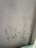COODORA墙体除霉剂500ml*2瓶墙面墙体霉菌清除喷雾家用防霉去霉斑清洁剂 实拍图