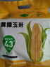 玉小胖25年新黄糯玉米8根1.8kg＞3.6斤 东北甜粘苞米棒真空包装低脂早餐 实拍图
