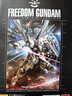万代（BANDAI）MG 自由 2.0 高达 ZGMF-X10A Freedom Gundam 实拍图
