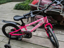 途锐达京东自营超轻铝合金儿童自行车3-6岁女孩单车元旦礼物蜂鸟16寸粉 实拍图