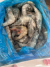 混元兽 虾国产青岛鲜捕大虾特大号 青虾冻海虾生鲜 虾类白虾 青岛盐冻大虾3- 4斤(净重)  15-18厘米（店长推荐） 实拍图