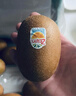 佳沛（zespri）新西兰 阳光金奇异果12粒礼盒特大果单果约122-146g 猕猴桃 实拍图
