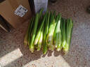 【现采现发】浙江新鲜茭白时令蔬菜带壳茭白高笋应季美食自种包邮 现采带壳茭白4.6-5斤 净重 实拍图