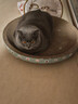 疯狂的主人 猫抓板窝超大号猫玩具猫爪板猫抓盆不掉屑猫窝碗形圆形瓦楞纸 实拍图