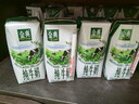 伊利金典纯牛奶整箱 200ml*24盒 3.6g乳蛋白 原生高钙 年货礼盒装 实拍图