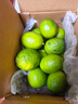 京鲜生 塔西提无籽柠檬 青柠檬 净重2斤 单果60g起 生鲜水果 实拍图