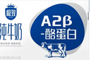 三元极致A2β-酪蛋白纯牛奶整箱200ml*16盒 稀奢奶源 年货礼盒 实拍图