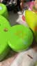 【新品特价】儿童乳牙存放盒牙齿收集纪念盒防氧化换牙保存储盒 新款【绿色恐龙款】儿童乳牙收纳盒 实拍图