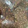 川珍红花椒250g袋装 干麻椒火锅食材卤肉炖肉调料家庭商用装香辛料 实拍图