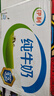 伊利纯牛奶 250ml*16盒 全脂牛奶 礼盒装 10月底产 实拍图