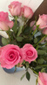 京东鲜花昆明基地玫瑰花买10枝送10枝颜色随机色玫瑰【热卖】源头直发 实拍图