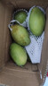 鲜福林现货越南进口玉芒青芒水果当季新鲜甜心芒果大芒果包邮 净重4.5斤(单果200g起) 实拍图