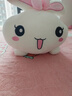 熊猫熊抱枕兔子毛绒玩具女孩娃娃小白兔子玩偶公仔超大号陪睡觉新年礼物 实拍图