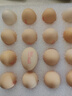 德青源A级鲜鸡蛋32枚2.74斤起无抗生素 谷物喂养  营养早餐家庭礼盒 实拍图