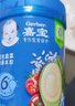 嘉宝（GERBER）番茄牛肉谷物高铁米粉婴幼儿米粉宝宝辅食米糊250g6月+100%真验厂 实拍图