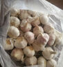 京鲜生山东金乡大蒜带皮新鲜干蒜净重1.8斤单果5.5-6cm 源头直发包邮 实拍图