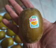 佳沛（zespri）意大利 阳光金奇异果12粒礼盒特大果单果约122-146g 猕猴桃 水果 实拍图