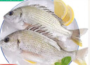 哆鲜生 活冻黄翅鱼 海捕黄鳍鲷黄脚立鱼 三去国产生鲜冷冻鱼类 2-3条/袋 净重400g 实拍图
