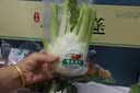 青樱红荔【顺丰直达】山东寿光蔬菜优质新鲜时令蔬菜组合混搭中秋春节礼盒 15斤【T1高端特色菜16种】 天然新鲜菜,健康原生态 实拍图